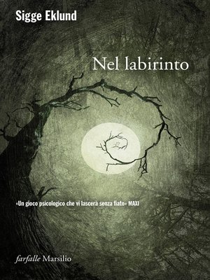 cover image of Nel labirinto